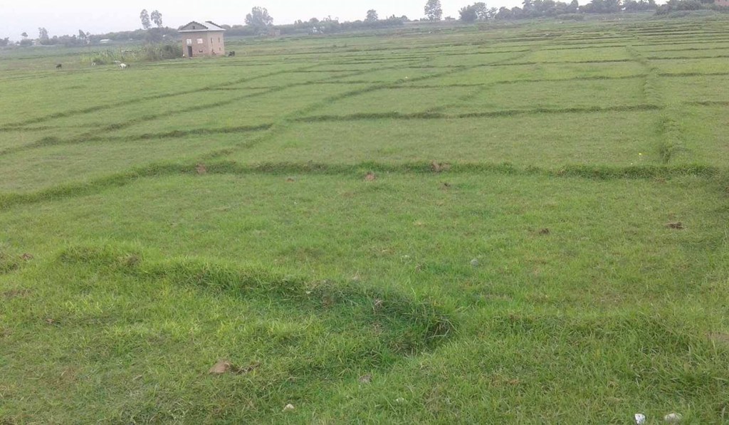 कृषियोग्य भूमि बाँझो राखे एक लाखसम्म जरिवाना