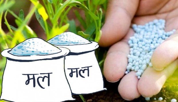 प्रदेश १ मा मलको हाहाकार