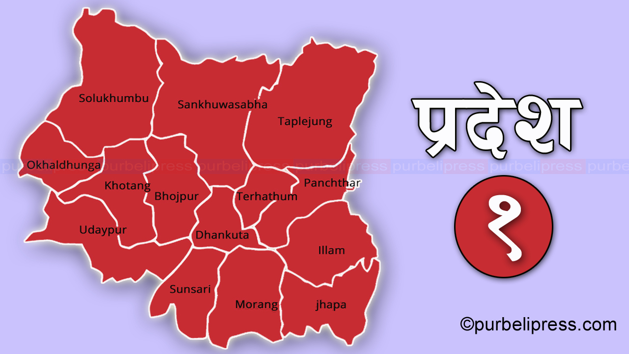 प्रदेश १ मा एमाले पहिलो, कांग्रेस दाेस्राे र माओवादी तेस्रो स्थानमा