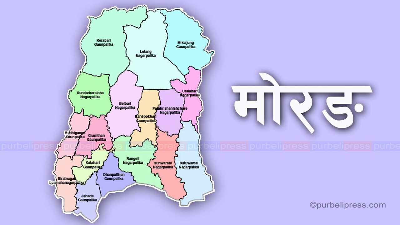 प्रतिनिधिसभामा तीनसहित मोरङमा ११ जनाले गरे उम्मेदवारी फिर्ता