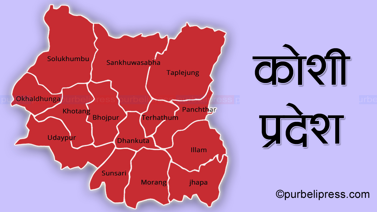 कोशी प्रदेशका तीन जिल्लामा क्षयरोगका बिरामी बढी