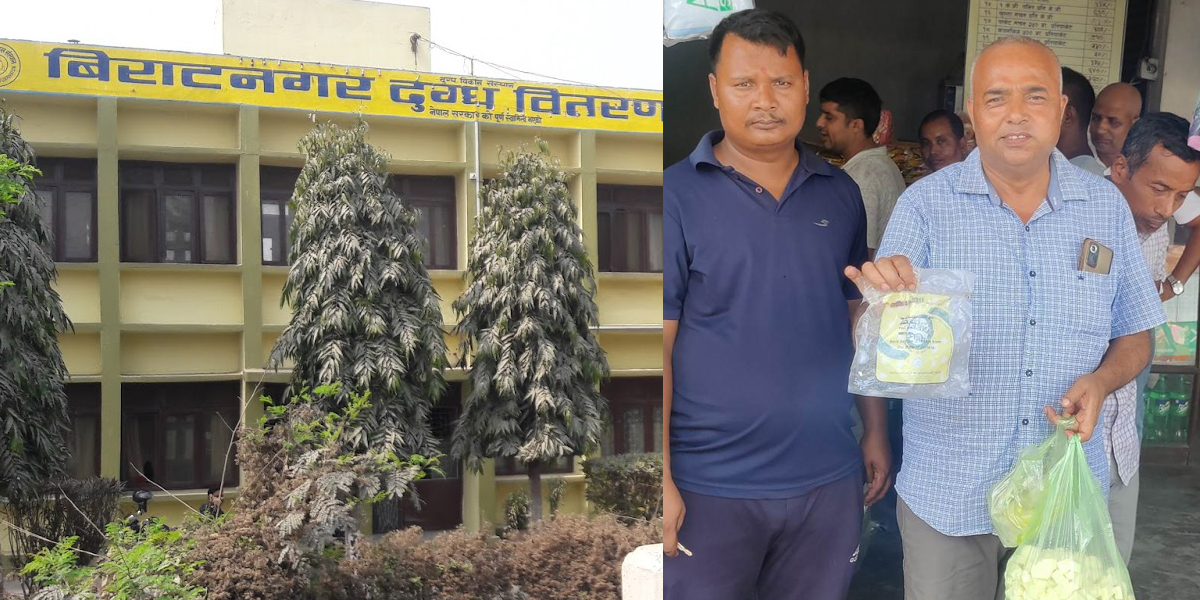 म्याद गुज्रिएको पनिर बेच्दै विराटनगरको डिडिसी