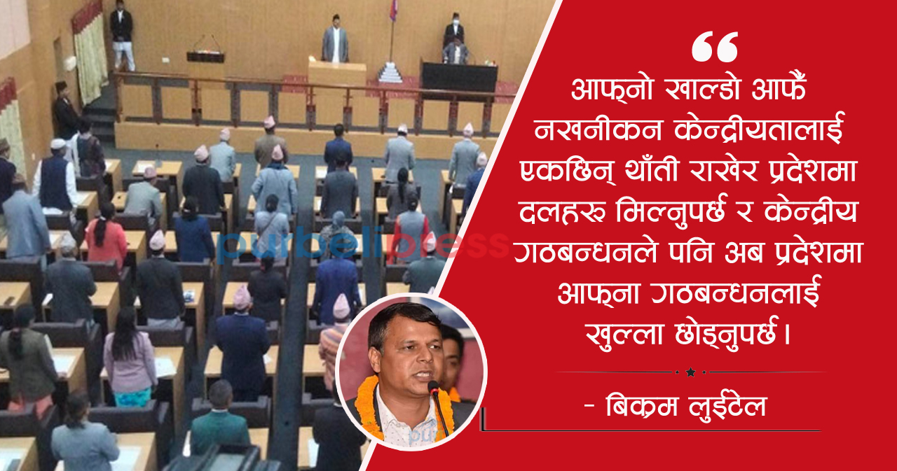 आफ्नो खाल्डो आफैँ खन्दै, तमासामा दलहरु