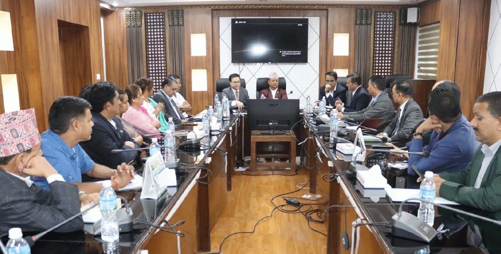 ‘विद्युत् विधेयकले निजी क्षेत्रका समस्यालाई सम्बोधन गर्नेछ’