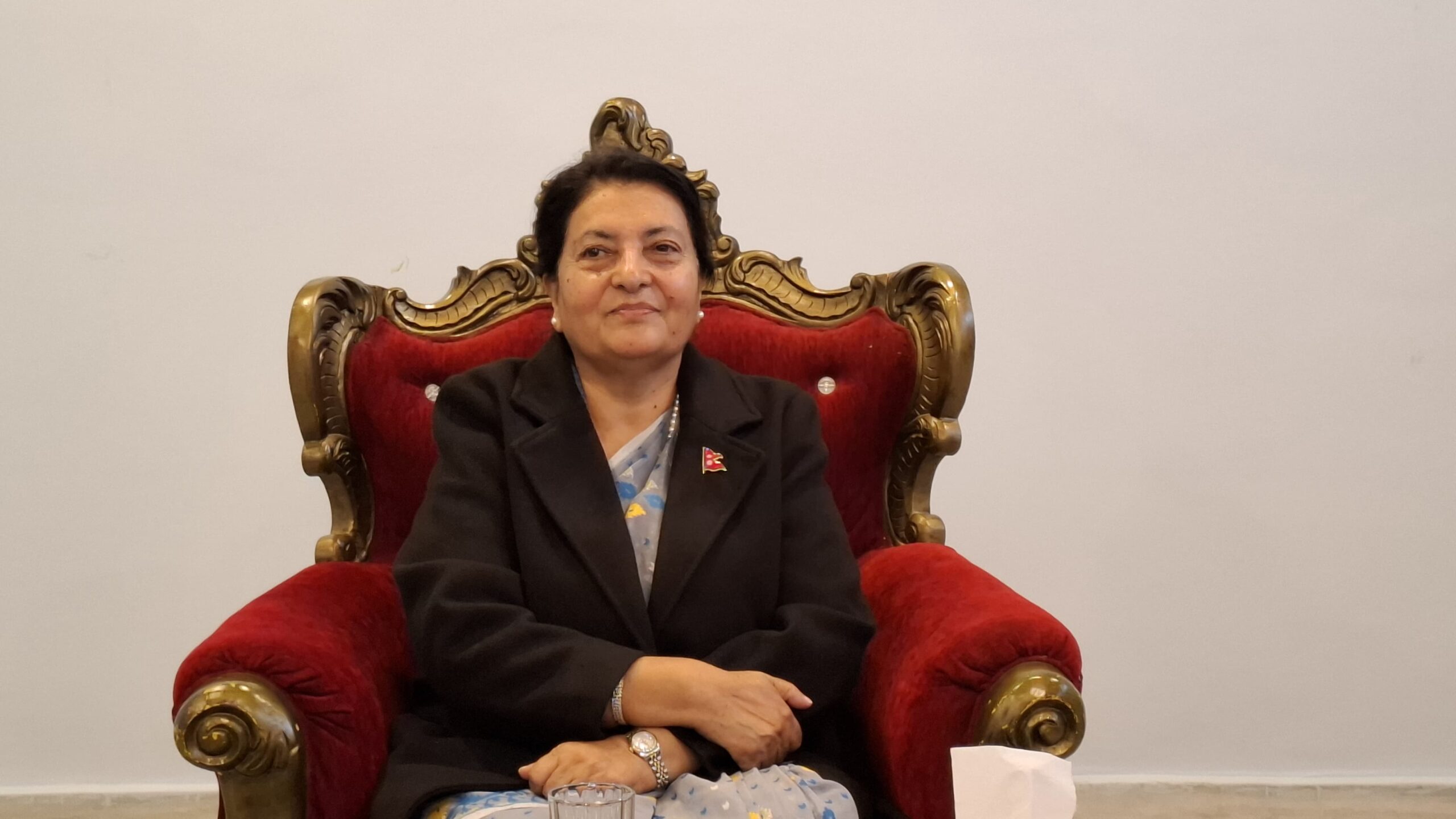 राष्ट्रिय राजनीतिमै छु : पूर्वराष्ट्रपति भण्डारी