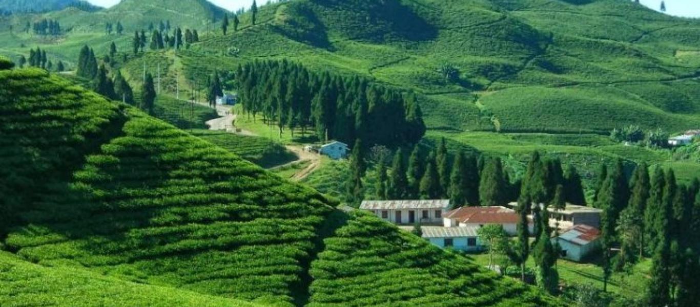 कोशी पर्यटन वर्ष २०८२ को तयारी अन्तिम चरणमा