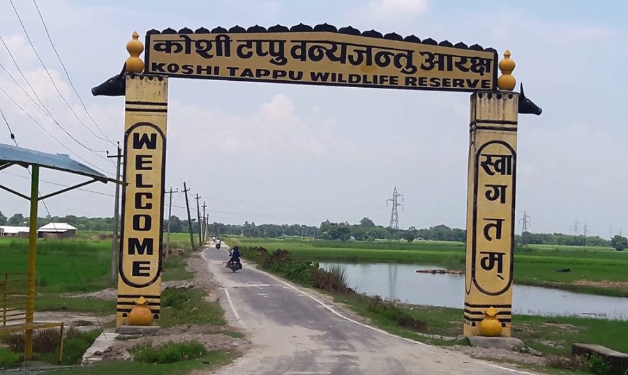 कोशीटप्पु वन्यजन्तु आरक्ष आउने पर्यटक बढे