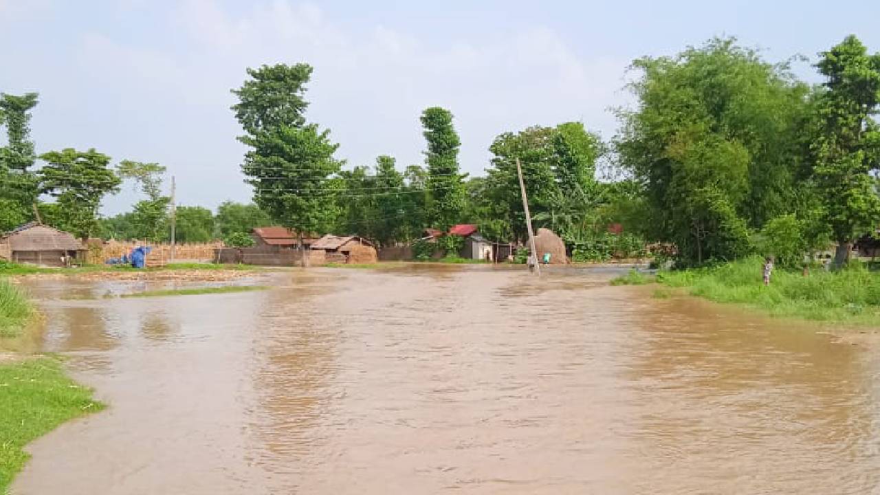 झापा गाउँपालिका–२ मा माईखोलाको बाढीस् २२ घर डुबानमा, मकैबालीमा ठूलो क्षति